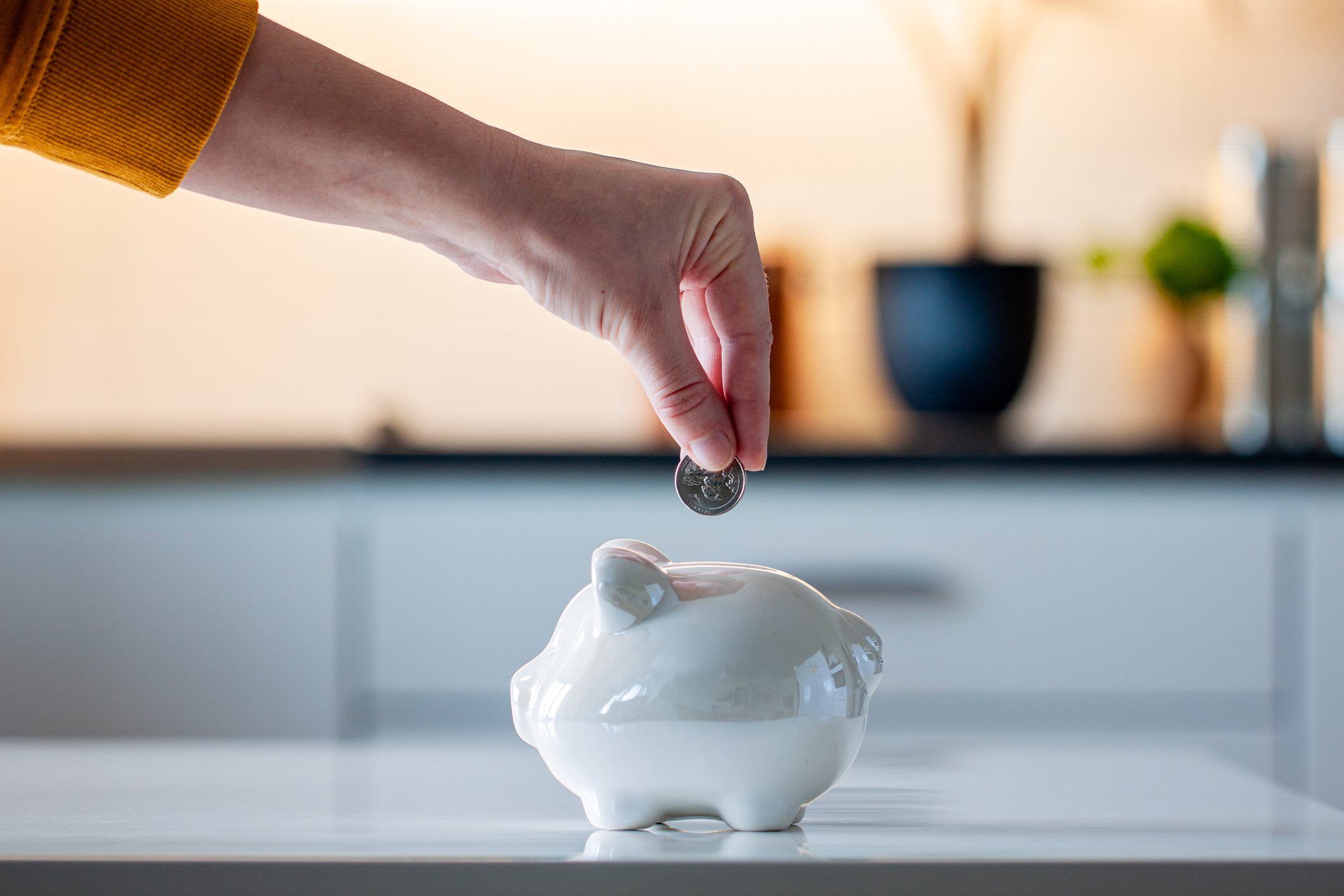 Person saving coin in ceramic piggy bank